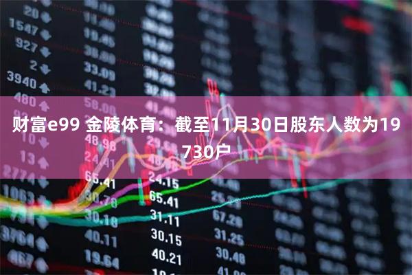财富e99 金陵体育：截至11月30日股东人数为19730户