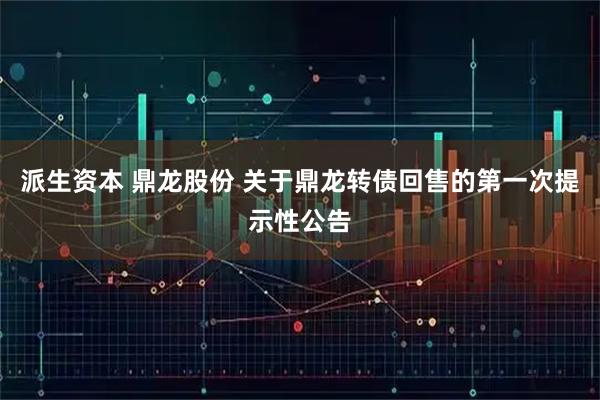 派生资本 鼎龙股份 关于鼎龙转债回售的第一次提示性公告